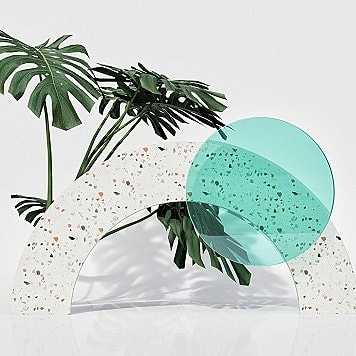 Abstract plant arrangement with geometric shapes.