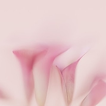 Soft pink floral abstract background.